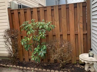 Bush Trimming by candelario castillo for Vincent M. in Alexandria, VA