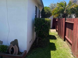 Bush Trimming by Mark Stephens for Joe G. in Torrance, CA