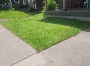Matthew W.'s Yard Cutting service result