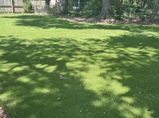 Leaf Removal by Sharone Kinlock Sr for Henry M. in Charleston, SC