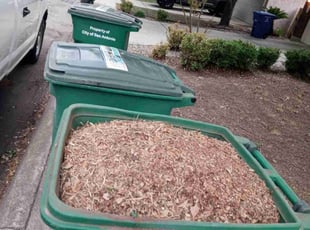 Cleanups by Jason Westgor for Ryan C. in San Antonio, TX
