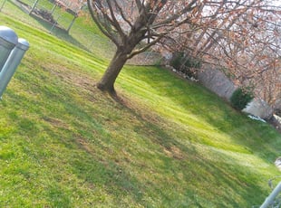 Leaf Removal by Jacob Jumper for James M. in Plainfield charter Township, MI
