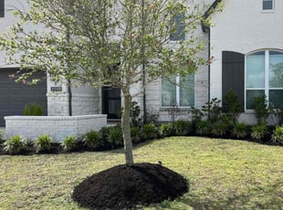 Weeding by Oscar Patino for Tayzia M. in Cypress, TX