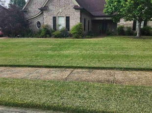 Adam C.'s Lawn Maintenance service result