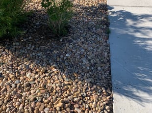 Weeding by David Taylor for Lisa L. in Englewood, CO