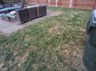 Leaf Removal by Jeremiah Davis for Katrina M. in Concord, NC