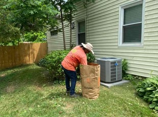 Bush Trimming by Angel P. for Wayne W. in Falls Church, VA