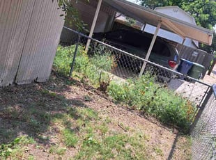 Landscaping by Elizabeth Cruz for MICHAEL S. in Garland, TX