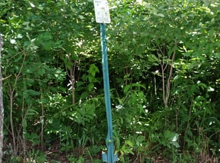 Bush Trimming by Sean Meister for Timonthy M. in Lino Lakes, MN