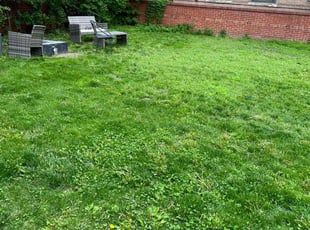 Cleanups by Tom Davis for Karissa W. in Denver, CO
