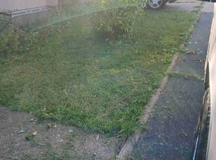 Bush Trimming by Tony Todd for Roni P. in Arnold, MO