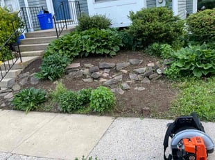 Weeding by David Alexander for Edwige "Vi" D. in Germantown, MD