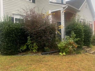 Bush Trimming by Chance Rosenberger for Tiffany P. in Huntersville, NC