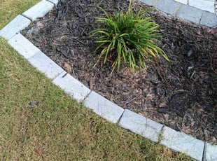 Weeding by Justin Sexton for Nikki D. in Charlotte, NC