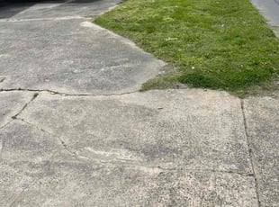 Kassie N.'s Grass Cutting service result