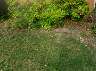 Bush Trimming by Jamie Paul for LaShan H. in Fayetteville, GA