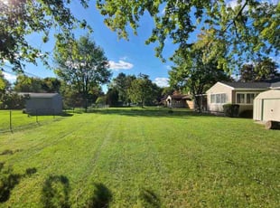 Gina L.'s Lawn Mowing Service service result