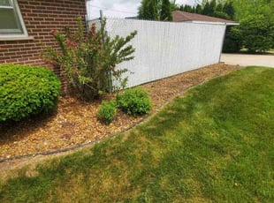 Cleanups by Eduardo Flores for Karen G. in Oak Lawn, IL