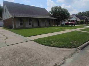 Alex P.'s Lawn Mowing service result