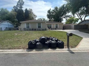 Leaf Removal by Ramon Taguja for Laura A. in Lakeland, FL