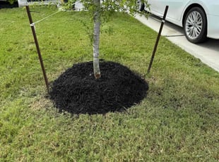 Mulching by Samuel Rueda for Michele M. in Niederwald, TX