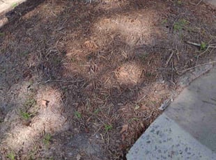 Leaf Removal by Echo & Gary Stephens for Damien J. in Waxhaw, NC