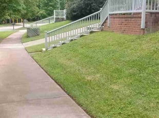 Christopher H.'s Lawn Care service result