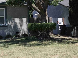 Bush Trimming by Juan Rodriguez for Gena A. in Sacramento, CA