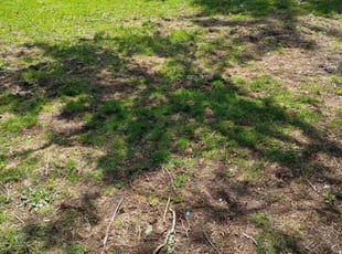 Cleanups by Edgar Nunez for Ellen T. in Melrose Park, IL