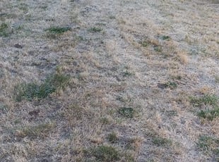 Cleanups by Jeffrey Preece for Shari L. in Portland, OR