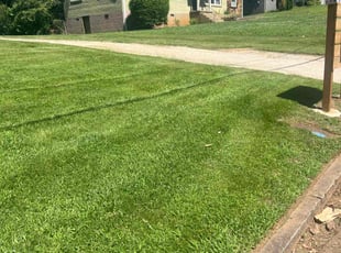 Robyn A.'s Lawn Mowing service result