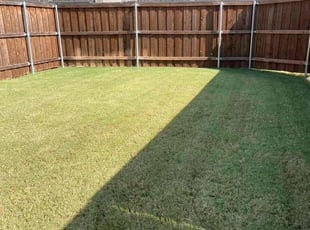 Weeding by Severa Rosie Lara for Yangsun S. in Euless, TX