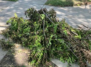 Cleanups by Damian Gray for Luke S. in Prairie Village, KS