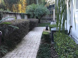 Bush Trimming by Jah Gage for Dennis B. in Orlando, FL