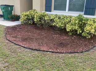Weeding by Erika PeΓ±a for Latonya H. in Zephyrhills, FL