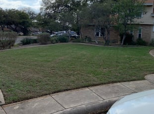 Leaf Removal by Robert Irvine for Kristi M. in San Antonio, TX