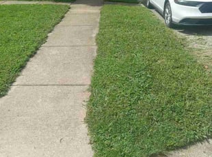 Xavier S.'s Lawn Service service result