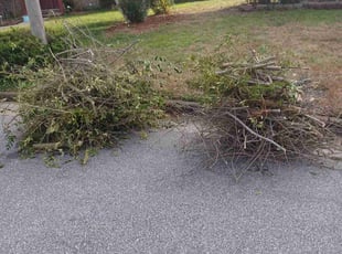 Bush Trimming by Brian Johnson for Craig W. in Virginia Beach, VA