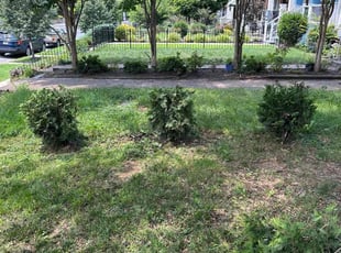 Bush Trimming by Norman Blanchard for Marquell P. in Washington, DC