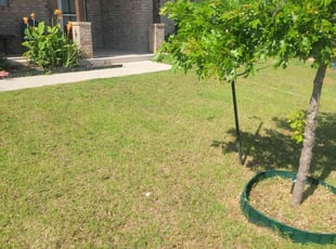 Bush Trimming by Robin Russell for Connie H. in Edmond, OK