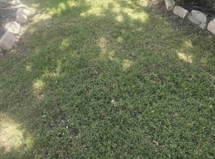 Cleanups by Gerome Randle for Connie V. in Arlington, TX