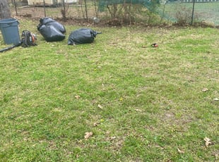 Leaf Removal by Reginald Jones for Freda W. in Hopewell, VA