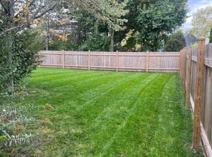 Cleanups by Gamaliel Barahona for Dominique W. in Gurnee, IL