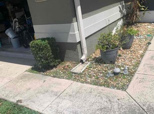 Jack F.'s Flower Bed Weeding service result