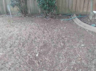 Leaf Removal by Phillip Cummings for Eswarappa G. in Cumming, GA