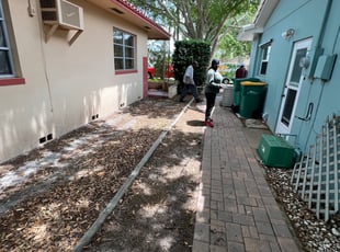 Leaf Removal by Dwaylon Peterson for Lawrie G. in St. Petersburg, FL
