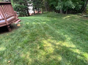 Leaf Removal by Jason Scott for Jisoo K. in Germantown, MD