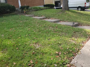 Bush Trimming by Jeff Kirchgessner for Robert H. in Cincinnati, OH