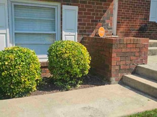 Bush Trimming by Terrence Hawkins for Trevor S. in Upper Marlboro, MD