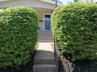 Bush Trimming by Caleb Patton for Pat M. in Cincinnati, OH